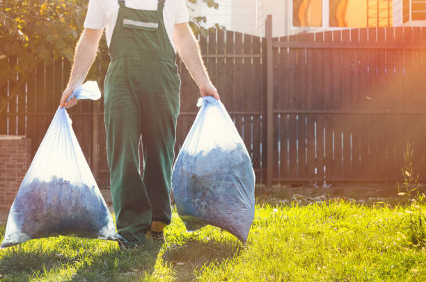 Best Basement Cleanout Services  in Roosevelt Gardens, FL